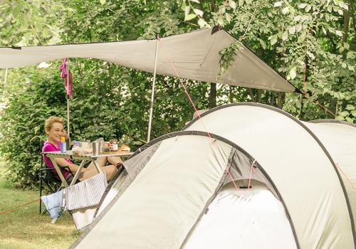 Emplacement de tente au camping Meerwijck