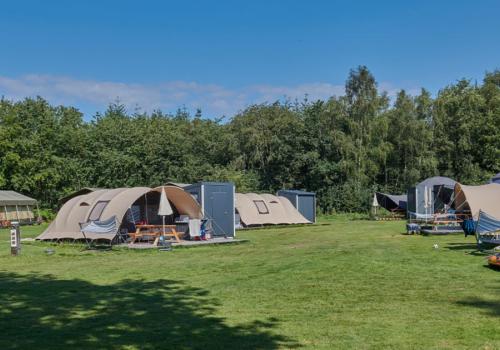 Emplacements tentes avec sanitaire au camping Siblu Lente van Drenthe