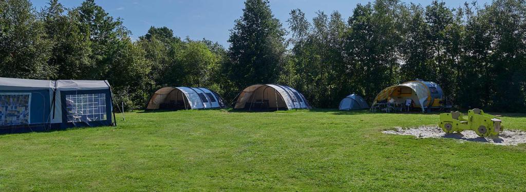 Emplacements Caravanes au camping Siblu Lente van Drenthe