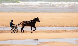 Balade à cheval sur la plage 