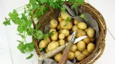Pommes de terre