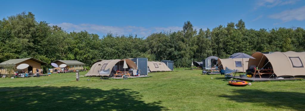 Emplacements tentes avec sanitaire au camping Siblu Lente van Drenthe
